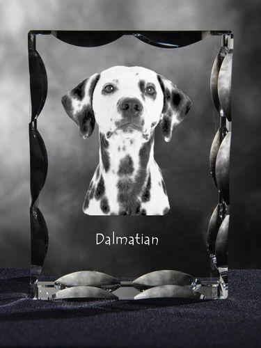 Dalmatyńczyk ramka kryształowa z psem Art-Dog na Arena.pl