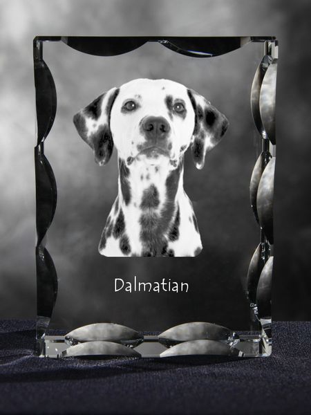 Dalmatyńczyk ramka kryształowa z psem Art-Dog zdjęcie 4
