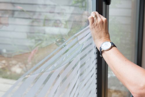 Folia stat. premium FINDUS 45cm x 0,5m na Arena.pl