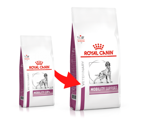 royal canin mobility support 12kg na Arena.pl