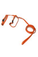 A-058 KOMPLET DLA KOTA V.1 Kolor - Pomarańczowy