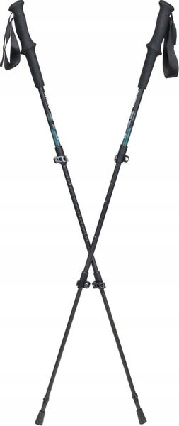 KIJE TREKKINGOWE Access Lite Carbon Rockland zdjęcie 1