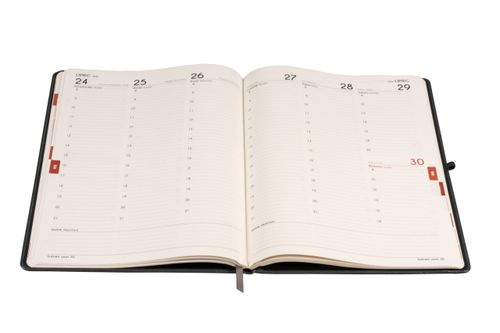 KALENDARZ 2026 FORMALIZM A4 TDW CZERWONY ANTRA na Arena.pl