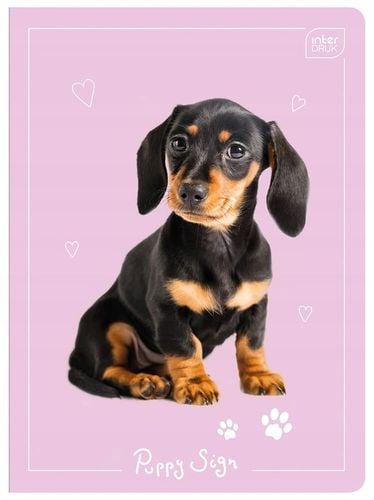 4 X ZESZYT A5, 32 KARTKI, KRATKA Z MARGINESEM, SŁODKIE KOTKI I PIESKI na Arena.pl