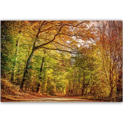 Deco Panel, Droga w lesie jesienią 60x40 na Arena.pl