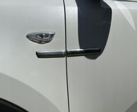 Ford Fiesta, Focus, Fusion, Mustang - Komplet listew chrom boczne chromowa