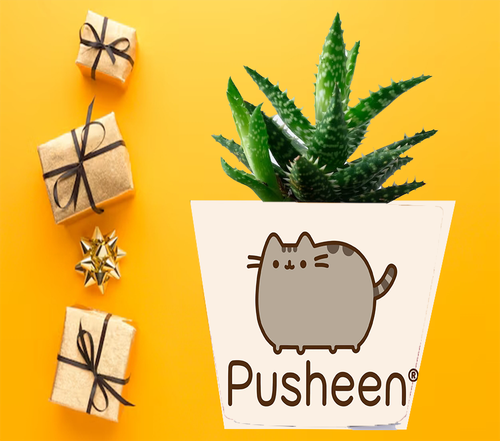 Doniczka do kwiatów/roślin - Pusheen - Kotek na Arena.pl