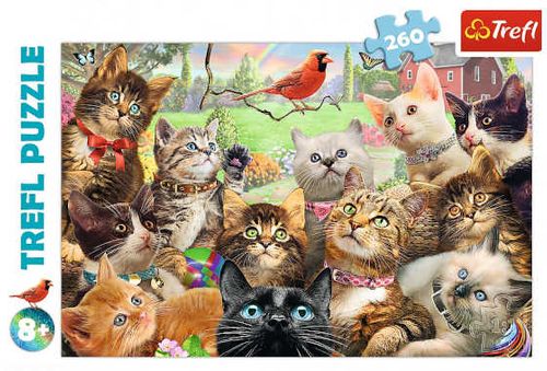 Trefl 13241 Puzzle Kotki na Arena.pl