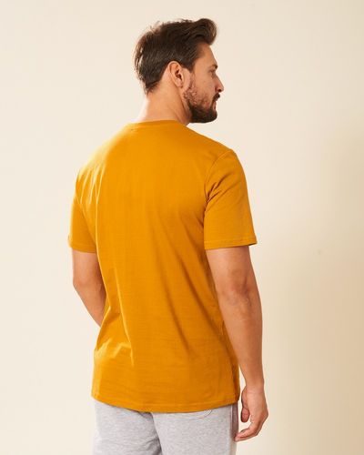 Koszulka męska miodowa Aleksander Rozmiar - L na Arena.pl