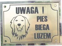 Tabliczka ZŁY PIES grawerowana złota + plexi HIT