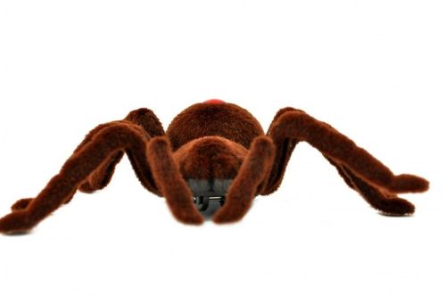 Pająk TARANTULA Zdalnie Sterowany + PILOT #E1 na Arena.pl