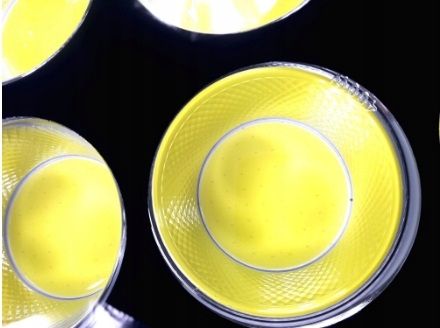 10x HALOGEN LED 300W COB na Arena.pl