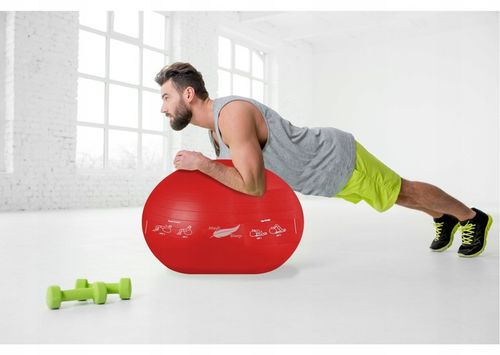 PIŁKA GIMNASTYCZNA REHABILITACYJNA DO ĆWICZEŃ FITNESS ZESTAW Z POMPKĄ 65cm na Arena.pl