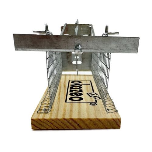 Pułapka humanitarna na myszy gryzonie żywołapka klatka łapka 15x6x6cm na Arena.pl