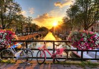 Fototapeta 3D widok most rower kwiaty 350x245 FLIZ