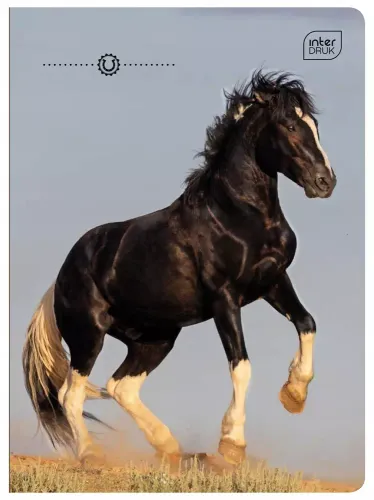 Zeszyt W Trzy Linie A5 Interdruk 32 Kartek na Arena.pl