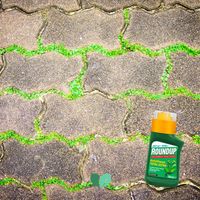 Roundup Antychwast Total Ultra Koncentrat 250ml