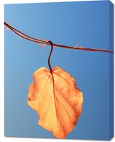 product-compare-59470495