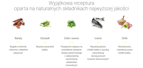 josera naturecat 10kg na Arena.pl