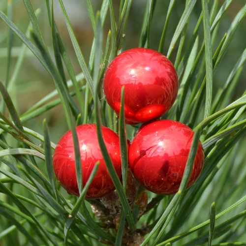 Bombki szklane drucik czerwień świąteczna 2cm/ 144 na Arena.pl