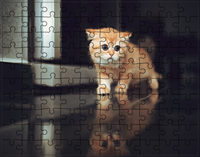 Puzzle Koty
