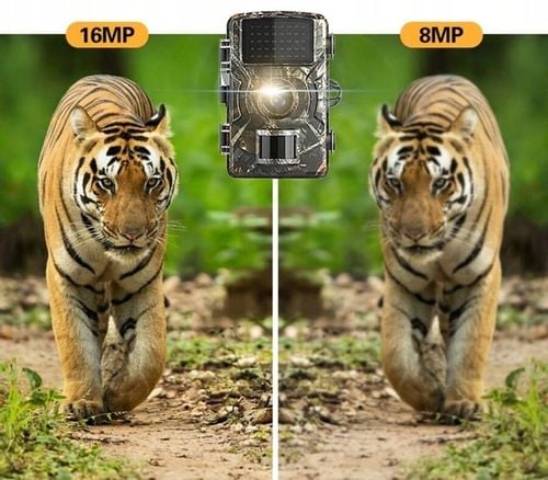 FOTOPUŁAPKA KAMERA LEŚNA MYŚLIWSKA FULL HD POLSKIE MENU TRYB NOCNY na Arena.pl