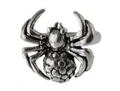 Elegancki oksydowany srebrny kolczyk nausznica ze wzorem pakąk spider srebro 925 K2640