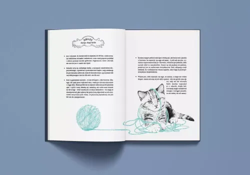 Historia pewnego kota na Arena.pl