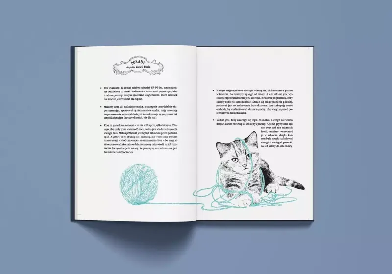 Historia pewnego kota zdjęcie 2