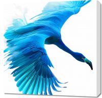 Obraz 70x70cm Błękitny Lot