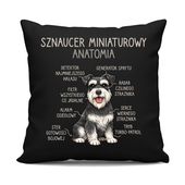 Sznaucer Miniaturowy - anatomia - czarna poduszka na prezent z pieskiem