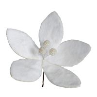 product-compare-60645562