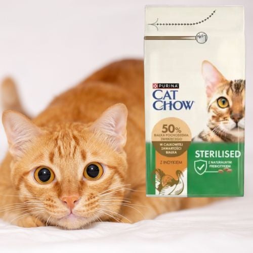 sucha karma dla kotów sterylizowanych cat chow indyk 15 kg +1.5 kg gratis na Arena.pl