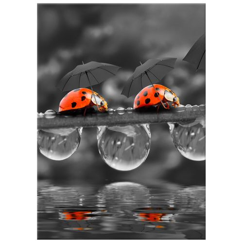 Foto-Obraz 50X70 Spacerek na Arena.pl