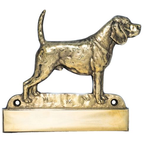Beagle - tabliczka - 1702 na Arena.pl