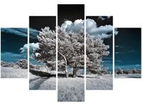 105CM 150CM OBRAZ 5 ELEM SILNE DRZEWA DRUK