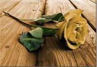 100 70CM OBRAZ PŁÓTNO CIEKAWA RÓŻA PŁÓTNO RAMA