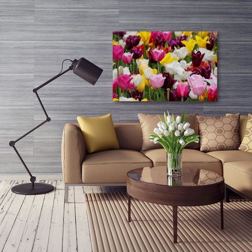 Obraz na płótnie - Canvas, Tulipany 4 70x50 na Arena.pl