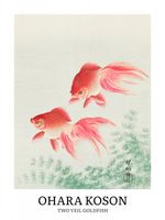 Plakat 60x80cm Two Veil Goldfish, Koson Vintage do Salonu