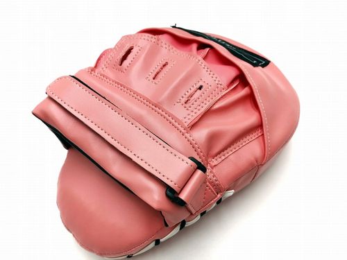 ŁAPY TARCZE TRENERA PROFILOWANE EVOLUTION 2 szt. na Arena.pl