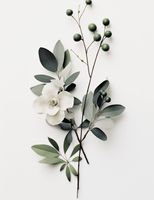 Plakat 50x65cm Papierowy Kwiat