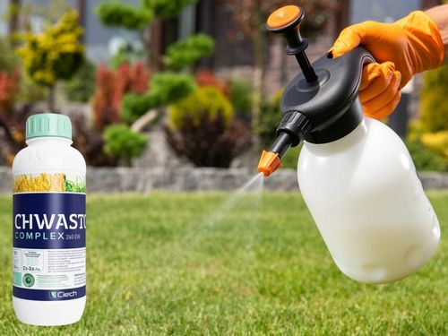 CHWASTOX COMPLEX 260EW środek chwastobójczy NA SZEROKI ZAKRES CHWASTÓW 1L na Arena.pl