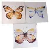 plakat obrazek motyl zestaw 3 sztuk