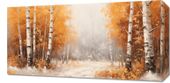 Obraz 60x30cm Jesienne Brzozy