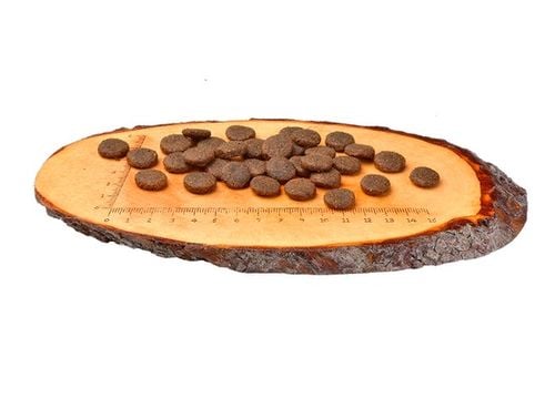 Karma dla dużych psów bez zbóż i ziemniaków - Carnilove Łosoś i Indyk 12kg na Arena.pl