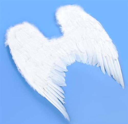 Skrzydła Anioła na Arena.pl