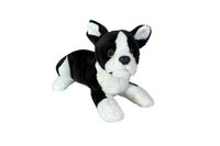 product-compare-57149843