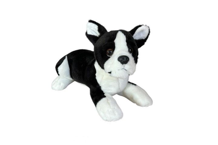 Pies boston terrier lezacy 28cm 32164 zdjęcie 1