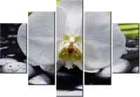 105CM 150CM OBRAZ 5 ELEM STORCZYK KAMIENIACH DRUK