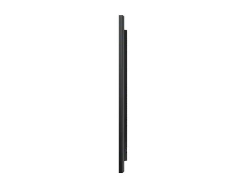 Monitor 65 QM65R na Arena.pl